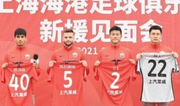 新赛季新援爆料最新消息,实力与潜力并存的全新阵容亮相