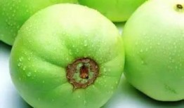 甜瓜14.0最新爆料,揭秘神秘功能与升级亮点