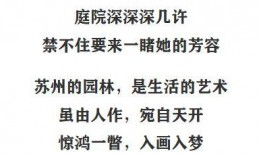 最新茶叶爆料文案短句,最新爆料短句盘点