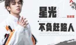 明星最新爆料事件小说,明星爆料事件揭秘