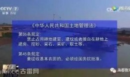 漳浦爆料新闻事件最新,最新事件引发社会关注，真相即将揭晓